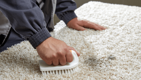 Professional Rug Cleaning Travancore